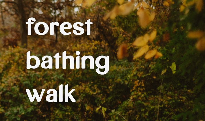 June 21st | Pride Month Walk | Indianapolis, Virginia B. Fairbanks Art + Nature Park image